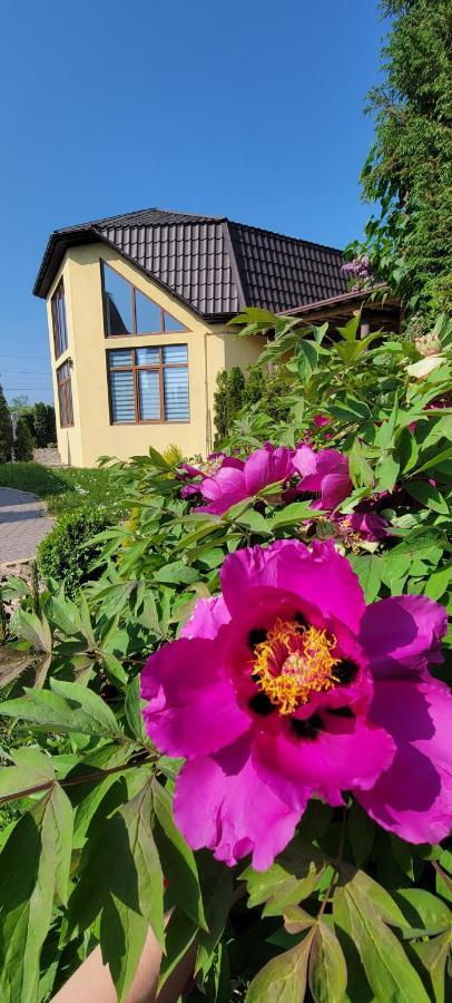 Трушки34 Villa Trushki Eksteriør billede